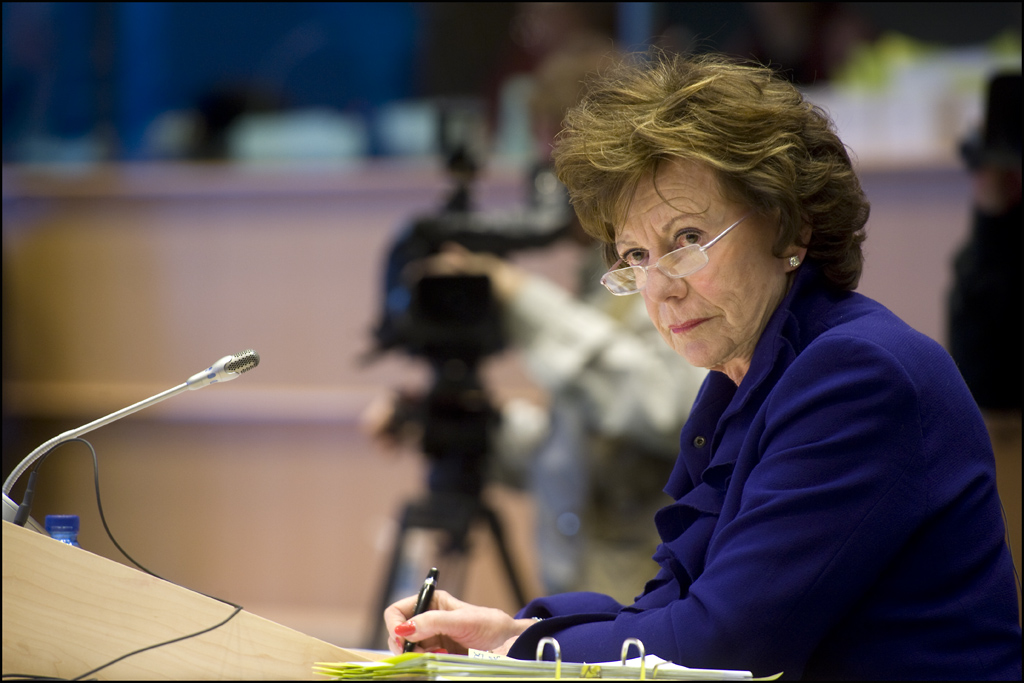 Neelie Kroes (telecoms and internet regulation commissioner): 'the hard-nosed one'